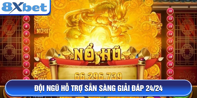 Đội ngũ hỗ trợ sẵn sàng giải đáp 24/24