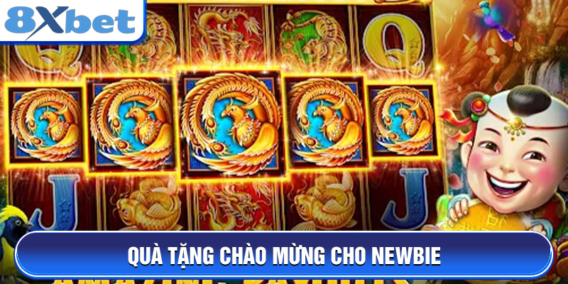 Quà tặng chào mừng cho newbie